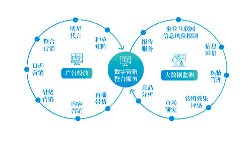 肉碱能不能减肥